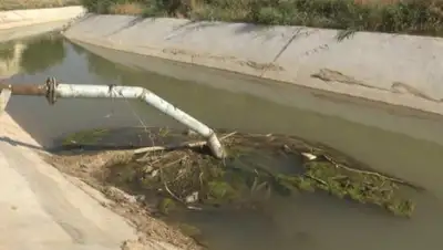 otyrar.kz, фото - Новости Zakon.kz от 08.04.2019 22:08