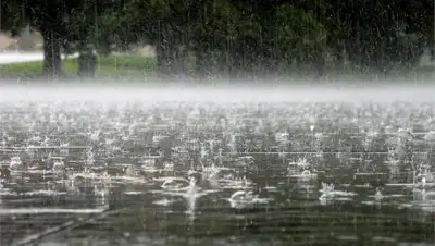 Zakon.kz, фото - Новости Zakon.kz от 11.08.2017 12:00