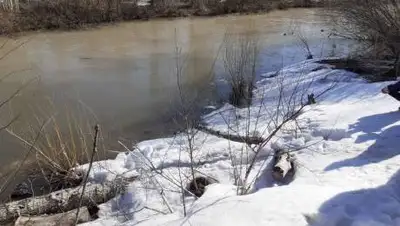 Полиция Восточно-Казахстанской области, фото - Новости Zakon.kz от 10.04.2021 11:03