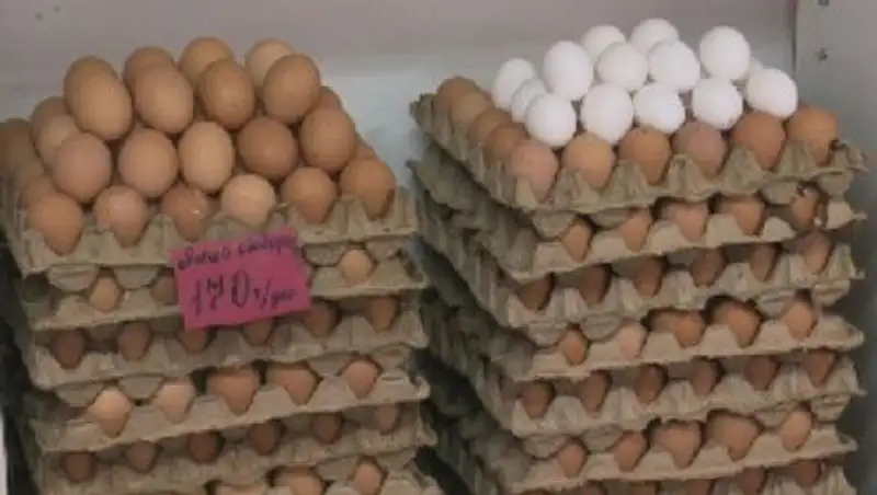 В Павлодарской области снизились цены на яйца