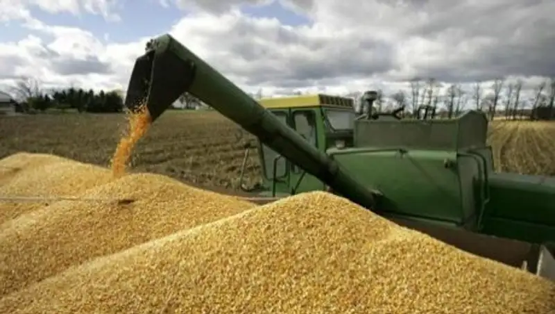 Казахстан поставит на экспорт порядка 7,5 млн тонн зерна