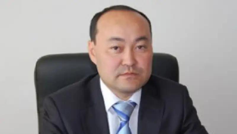 Участвующие в конфликтах за рубежом казахстанцы понесут наказание - Г.Шойкин