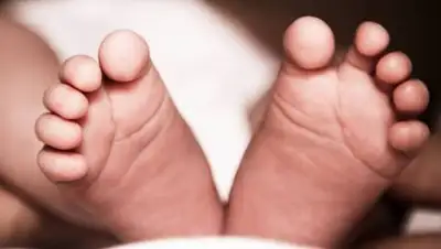 24tv.ua, фото - Новости Zakon.kz от 20.12.2020 14:21