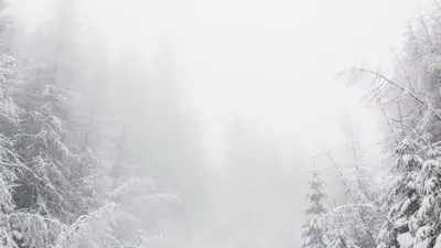 прогноз погоды в Алматы, фото - Новости Zakon.kz от 09.01.2023 16:45