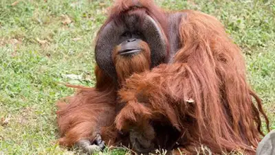 Zakon.kz, фото - Новости Zakon.kz от 08.08.2017 15:16