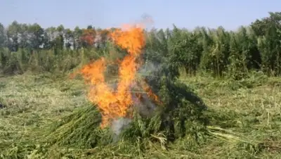 Zakon.kz, фото - Новости Zakon.kz от 21.10.2015 16:52