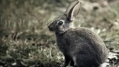 Zakon.kz, фото - Новости Zakon.kz от 29.06.2017 20:09