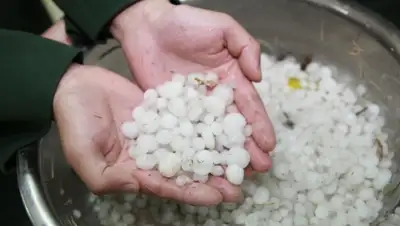 Zakon.kz, фото - Новости Zakon.kz от 02.08.2015 23:50