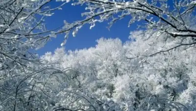 Zakon.kz, фото - Новости Zakon.kz от 18.12.2014 14:37