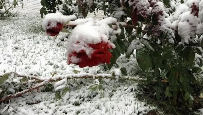 На большей части Казахстана 19 октября пройдет снег