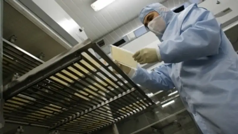 Новый метод лечения ожогов и ран разработали казахстанские ученые