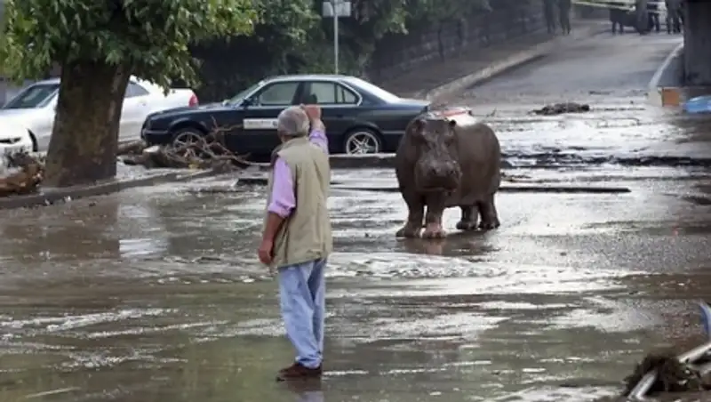 Наводнение в Тбилиси: подробности и причины