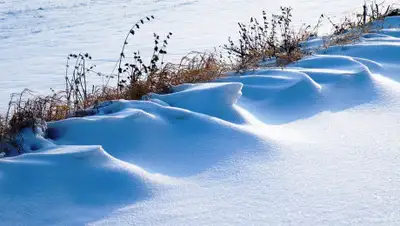 pixabay, фото - Новости Zakon.kz от 10.03.2019 12:27