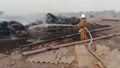 -, фото - Новости Zakon.kz от 14.07.2020 23:37