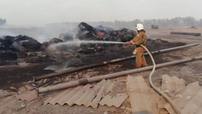 В ЗКО эвакуировали жителей поселка из-за лесного пожара