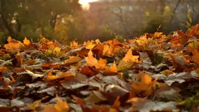 Zakon.kz, фото - Новости Zakon.kz от 29.09.2015 14:01