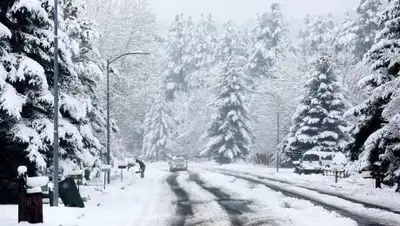 zakon.kz., фото - Новости Zakon.kz от 02.02.2021 20:18