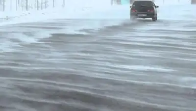 obk.kz, фото - Новости Zakon.kz от 21.02.2020 19:33