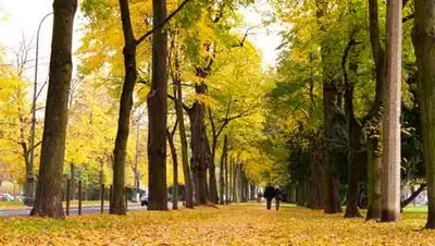 Zakon.kz, фото - Новости Zakon.kz от 10.10.2014 23:19