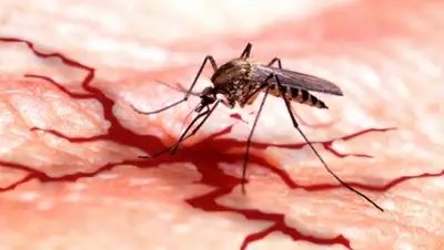 Zakon.kz, фото - Новости Zakon.kz от 26.08.2015 05:58