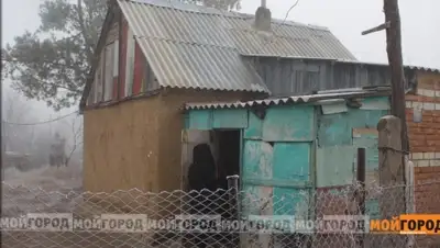 Zakon.kz, фото - Новости Zakon.kz от 14.11.2014 19:59