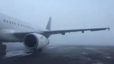 Zakon.kz, фото - Новости Zakon.kz от 03.01.2016 20:16