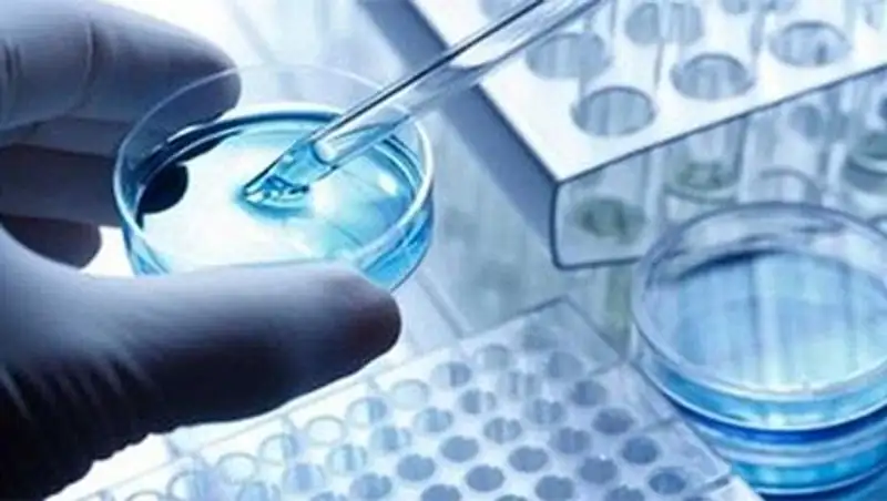 Восточноказахстанцы могут пройти независимую медицинскую экспертизу