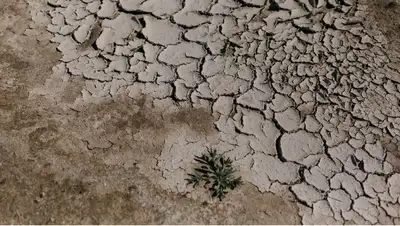 Засуха ожидается в Казахстане , фото - Новости Zakon.kz от 08.08.2022 09:51