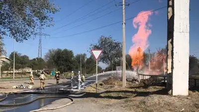 КЧС МВД РК, фото - Новости Zakon.kz от 30.08.2018 19:48