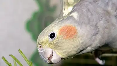 Zakon.kz, фото - Новости Zakon.kz от 01.03.2016 06:43