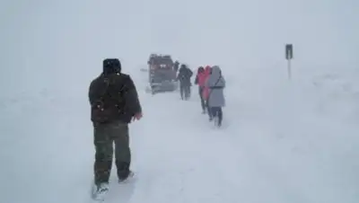 zakon.kz, фото - Новости Zakon.kz от 18.02.2021 16:56