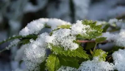 pexels.com, фото - Новости Zakon.kz от 18.10.2019 09:00