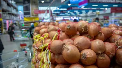 из Казахстана пытались вывезти в Россию лук , фото - Новости Zakon.kz от 01.02.2023 18:37