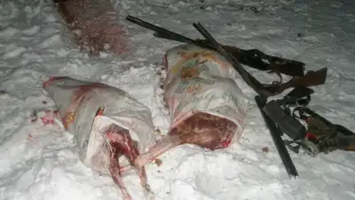 Zakon.kz, фото - Новости Zakon.kz от 08.01.2015 20:33