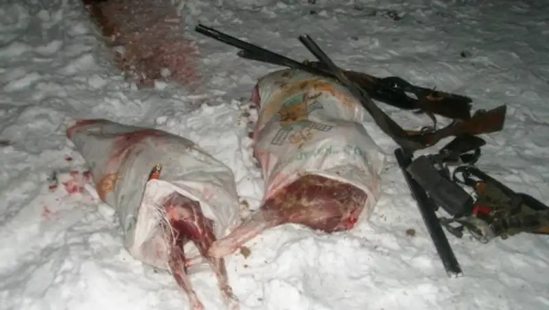 Около 700 нарушений правил охоты и рыбалки выявили полицейские СКО в 2014 году