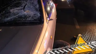 Zakon.kz, фото - Новости Zakon.kz от 12.09.2018 23:42