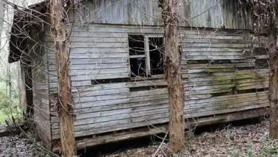 сарай , фото - Новости Zakon.kz от 20.01.2022 15:05