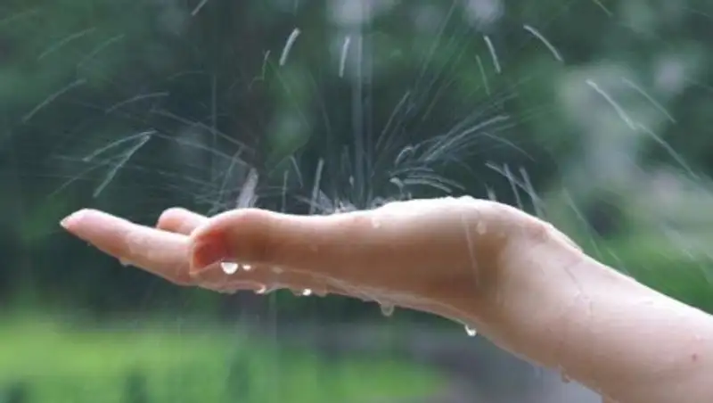 Дождливая погода сохраняется в Казахстане