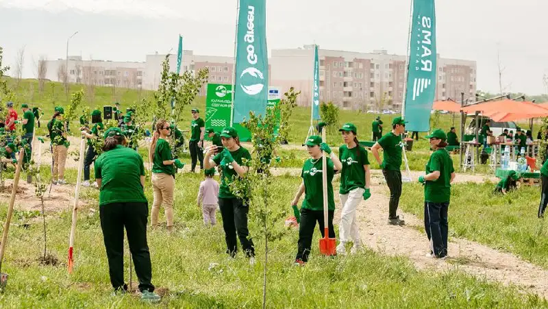 RAMS Qazaqstan высадит 25 тысяч деревьев в рамках проекта по озеленению Алматы