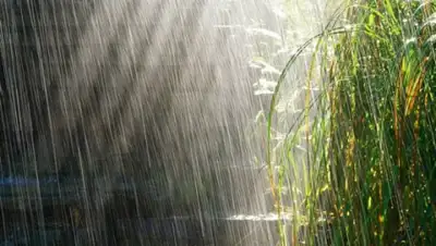 Zakon.kz, фото - Новости Zakon.kz от 06.06.2015 01:08