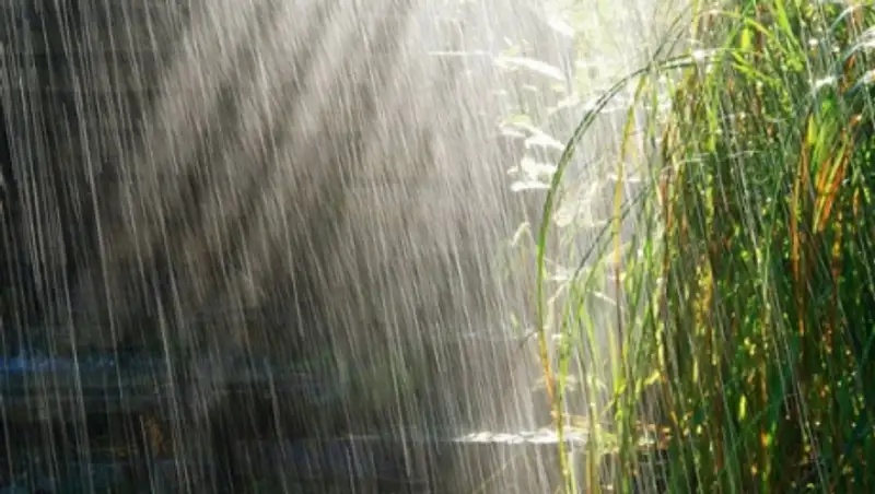 В субботу на большей части Казахстана пройдут дожди и грозы