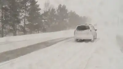 24kz, фото - Новости Zakon.kz от 11.03.2021 07:18