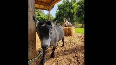 Facebook.com, фото - Новости Zakon.kz от 11.05.2021 18:17