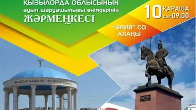 пресс-служба акима Кызылординской области, фото - Новости Zakon.kz от 09.11.2018 17:11