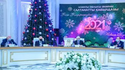 Пресс-служба акима Алматинской области, фото - Новости Zakon.kz от 24.12.2020 11:19