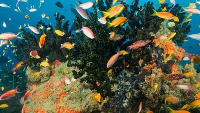 Zakon.kz, фото - Новости Zakon.kz от 29.07.2016 16:56