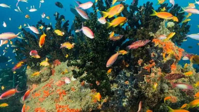 10 красивейших мест на Земле, ещё не испорченных толпами туристов