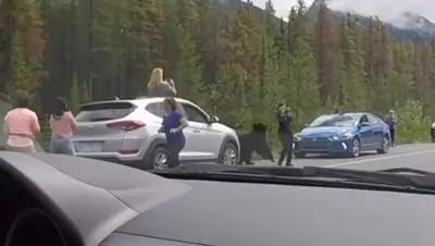 YouTube, фото - Новости Zakon.kz от 27.07.2018 22:10