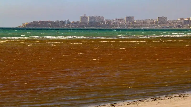 красный цвет море экологи, фото - Новости Zakon.kz от 11.10.2022 17:56