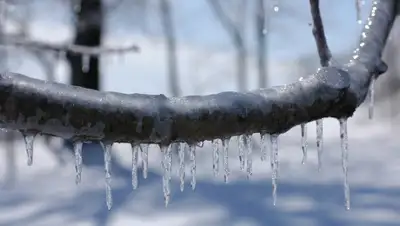 pixabay.com, фото - Новости Zakon.kz от 23.11.2019 22:41